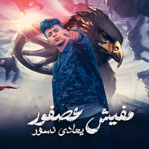 مفيش عصفور بيعادي نسور