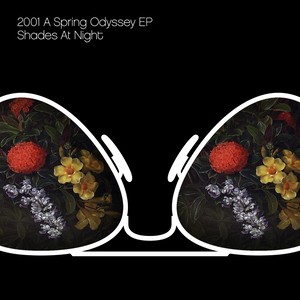 2001 A Space Odyssey EP