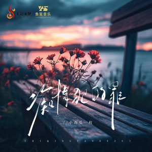 痴情犯的罪
