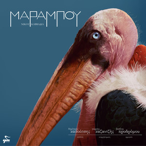 Marabou