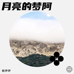 月亮的梦阿