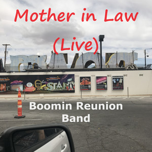 Mother in Law (Live)