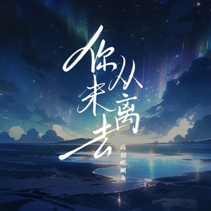 你从未离去封面