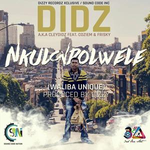 Nkulondolwele (feat. Coziem & Frisky) (Explicit)