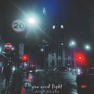 you need light (feat. Shane Selvan)