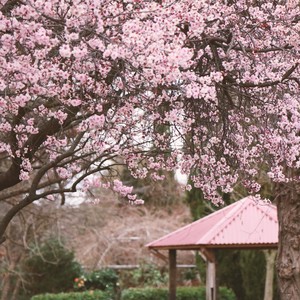 余生，请多指教