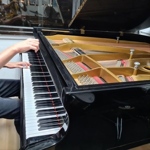 The Pianisto: 