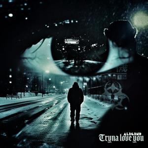 Tryna Love You (Explicit)