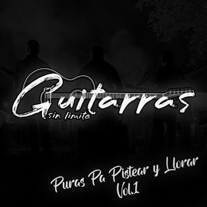 Puras Pa Pistear Y Llorar, Vol.1