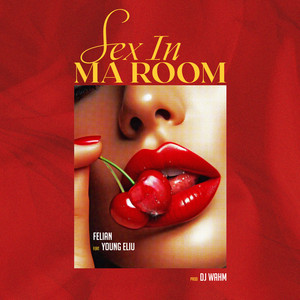 Sex in Ma Room (Explicit)