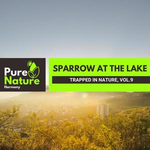 Sparrow at The Lake - Trapped in Nature, Vol.9