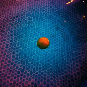 I Don't Know If I Can Put This Album Out