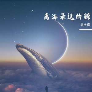 离海最远的鲸