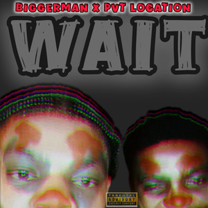Wait (Explicit)