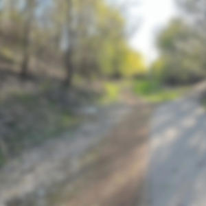 SOYL (Some Of Your Love) (Explicit)