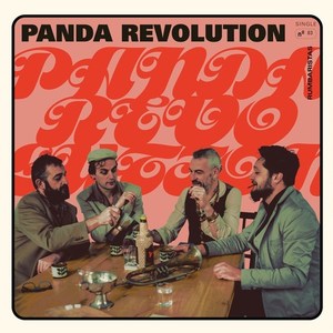 Panda Revolution (Radio Edit)