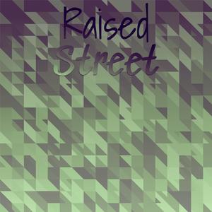 Raised Street