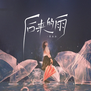 后来的雨