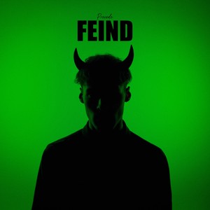 FEIND