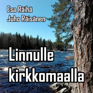 Linnulle kirkkomaalla