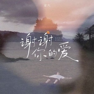 谢谢你的爱（是不敢不想不应该)