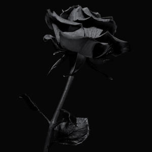 WANNA (LEVI) (feat. TSICK & Kidie The Soloist) (Explicit)