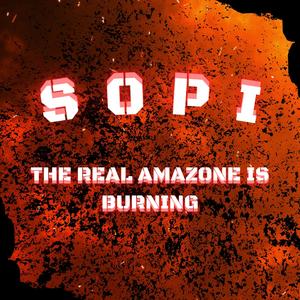 THE REAL AMAZON IS BURNING