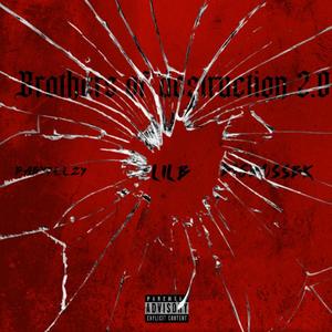Brothers of destruction 2.0 (feat. Lil B & BigBossBk) (Explicit)
