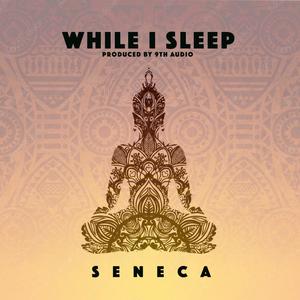 While I Sleep (feat. 9th Audio)