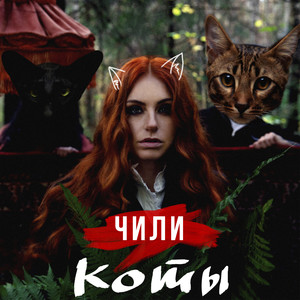 Коты