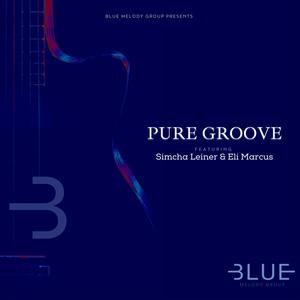 Pure Groove (feat. Simcha Leiner & Eli Marcus)