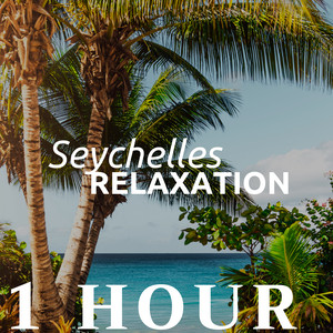 1 HOUR of Seychelles Relaxation