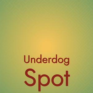 Underdog Spot