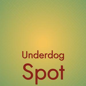 Underdog Spot