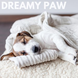Dreamy Paw