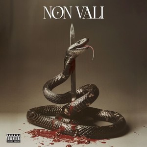 Non Vali (Explicit)