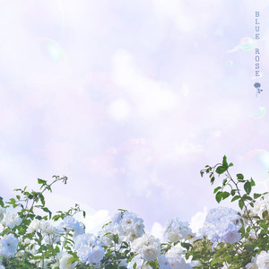 Blue Rose (Feat. CHANYE, PLANDAS)