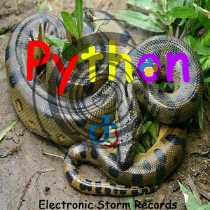 Python