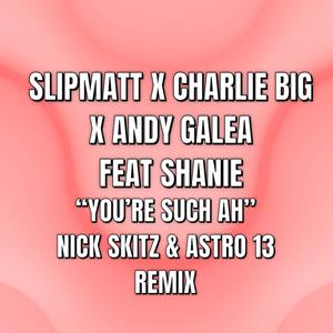 You're Such Ah (feat. Shanie) (Nick Skitz & Astro 13 Remix)