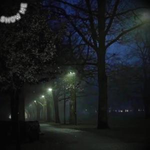 Show Me! (feat. DONNYTRAAP) (Explicit)