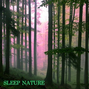 Restful Sleep Waves