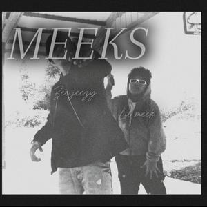 Meeks (feat. Lil meek) [Explicit]