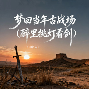 梦回当年古战场 (醉里挑灯看剑)