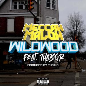 Wildwood (feat. ThaBigR) [Explicit]