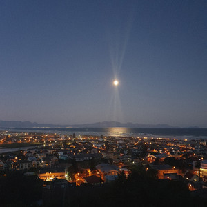 To the Moon and Back