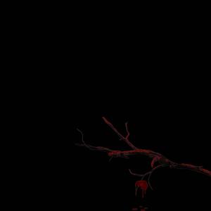 song about a girl im too afraid to talk to (Explicit)