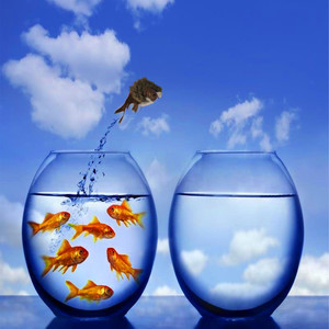 1700dion - Homecoming (Explicit)