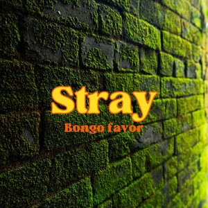 Stray Bongo Favor