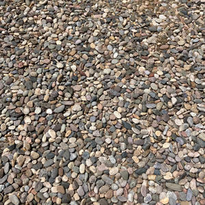 Free Me (feat. The Naturalist & LIFE GIVER)