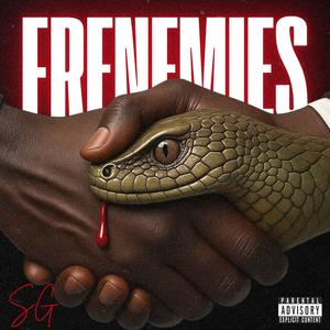 Frenemies (feat. ProdbyMB) (Explicit)